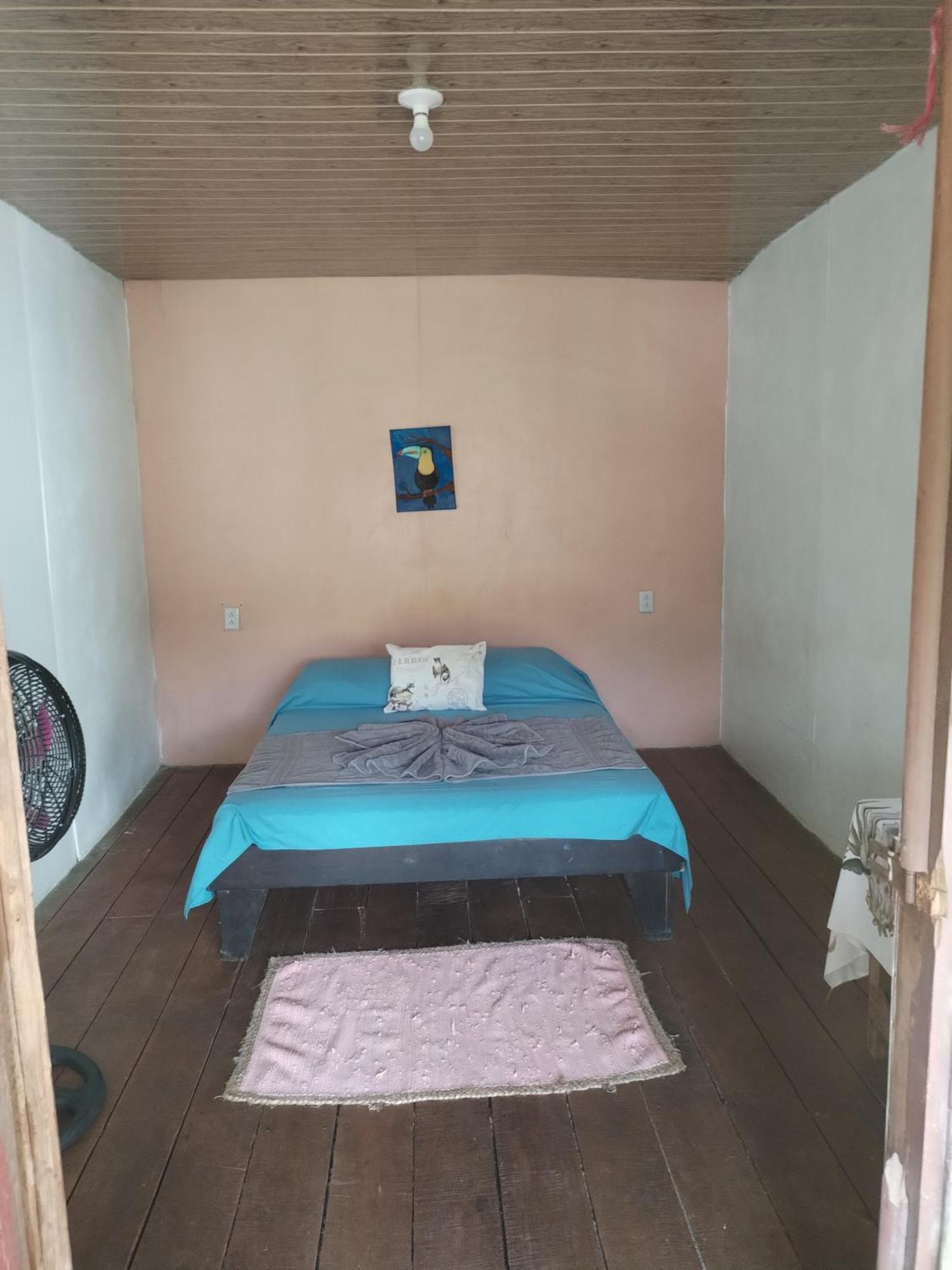 Mariposa Drake Apartment Drake Bay Ngoại thất bức ảnh