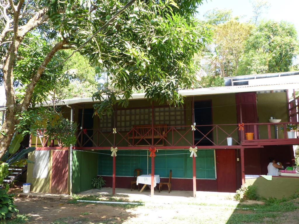 Mariposa Drake Apartment Drake Bay Ngoại thất bức ảnh